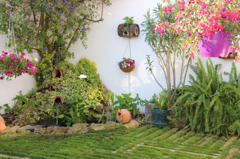 Convocado el IV Concurso de Ornamentación Floral de Patios, Jardines y Balcones de la Primavera 2021 en Los Santos de Maimona