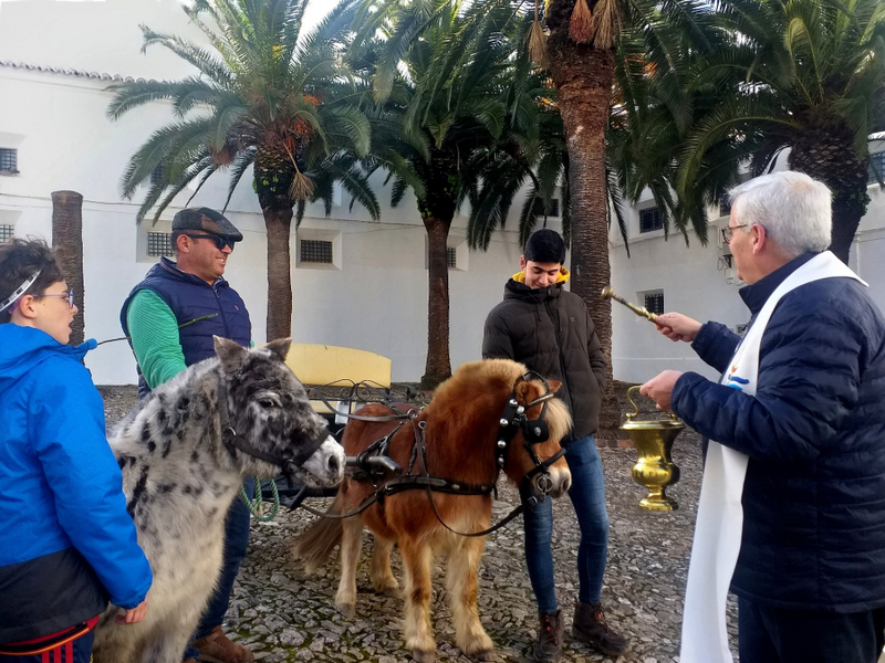 Los fontaneses llevan a sus animales a San Antón para ser bendecidos