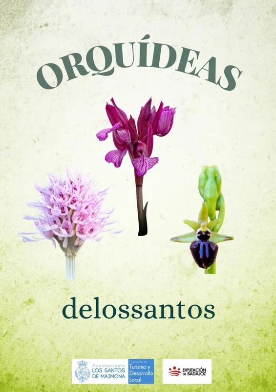 El Ayuntamiento de Los Santos de Maimona potenciar en Fitur el turismo de naturaleza a travs de sus orqudeas