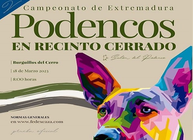 Burguillos del Cerro acoge este sbado el Campeonato de Extremadura de Podencos en Recinto Cerrado