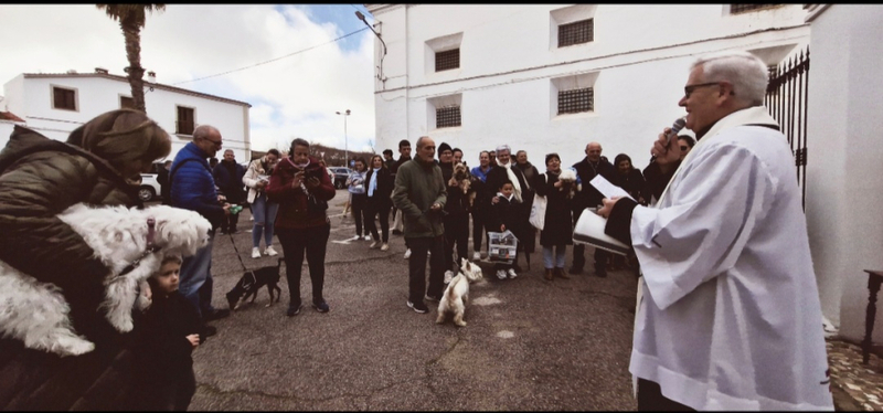 Celebrada la tradicional bendición de los animales por San Antón Abad en Fuente del Maestre