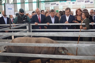 El alcalde de Zafra pide a la Junta un plan económico que evalúe la repercusión de la FIG en Extremadura