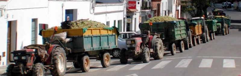 Los agricultores santeños se suman desde hoy a las labores de limpieza y desinfección de calles