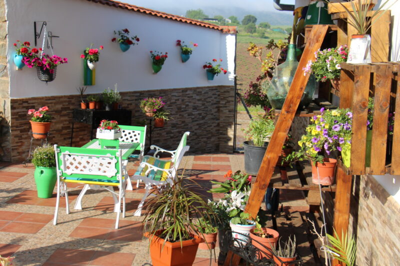 Abierto el plazo en Los Santos de Maimona para las inscripciones del IV Concurso de Ornamentación Floral de patios, jardines y balcones
