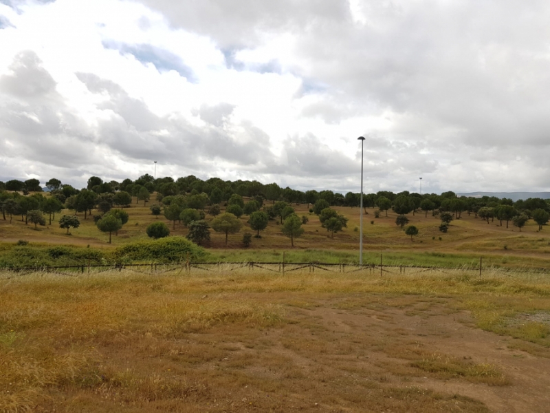 La finca municipal de San Isidro de Fuente del Maestre tendrá seguridad privada durante la romería