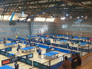 Brillante Open Internacional de Tenis de Mesa Diputación de Badajoz celebrado en Fuente del Maestre