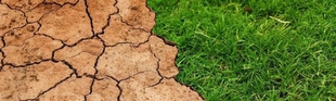 `LA AGRICULTURA EXTREMEÑA ANTE LA CRISIS CLIMÁTICA Y ENERGÉTICA´ en Cultura para Todos de Fuente del Maestre