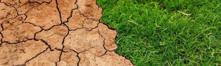 `LA AGRICULTURA EXTREMEÑA ANTE LA CRISIS CLIMÁTICA Y ENERGÉTICA en Cultura para Todos de Fuente del Maestre