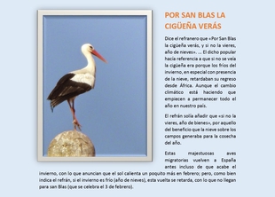 Convocado el II Concurso Fotográfico `Por San Blas la Cigüeña Verás� en Valencia del Ventoso
