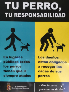 El Ayuntamiento de Los Santos de Maimona inicia una campaa de concienciacin destinada a dueos de perros