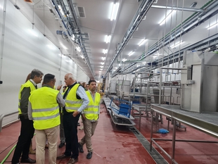 El SES crea tres plazas de veterinarios, ampliables a seis, para el nuevo Complejo del Ibrico de Extremadura en Zafra