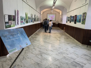 El mundo mgico de las orqudeas ya se puede visitar en la Casa de la Cultura de Los Santos de Maimona