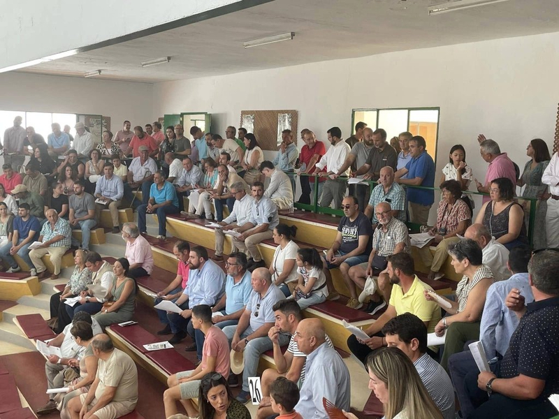 xito rotundo de todas las subastas de ovino celebradas en la FIG de Zafra, con un remate de casi 50.000 euros