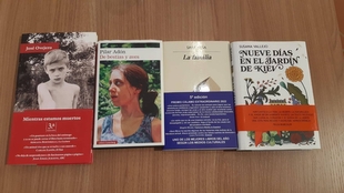 El jurado del XVIII Premio Dulce Chacón de Narrativa Española elegirá mañana en Zafra la obra ganadora