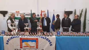 Entregados los 78 trofeos del XXVI Concurso Ornitológico-Exposición `Ciudad de Zafra´