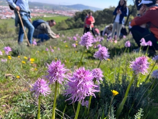Continúan las inscripciones para la salida de observación de orquídeas por Sierra Gorda en Los Santos de Maimona