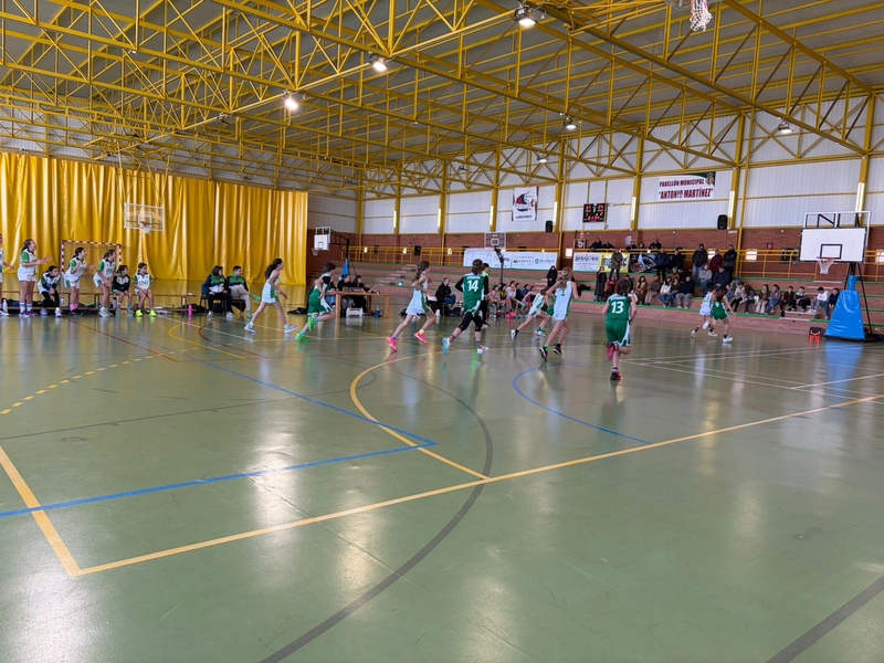 Los Santos de Maimona acogió un triangular mini femenino de baloncesto preparatorio para el Campeonato de España