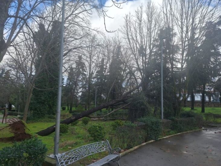 El Ayuntamiento de Los Santos de Maimona iniciará un plan de reparación integral tras los daños causados por el temporal