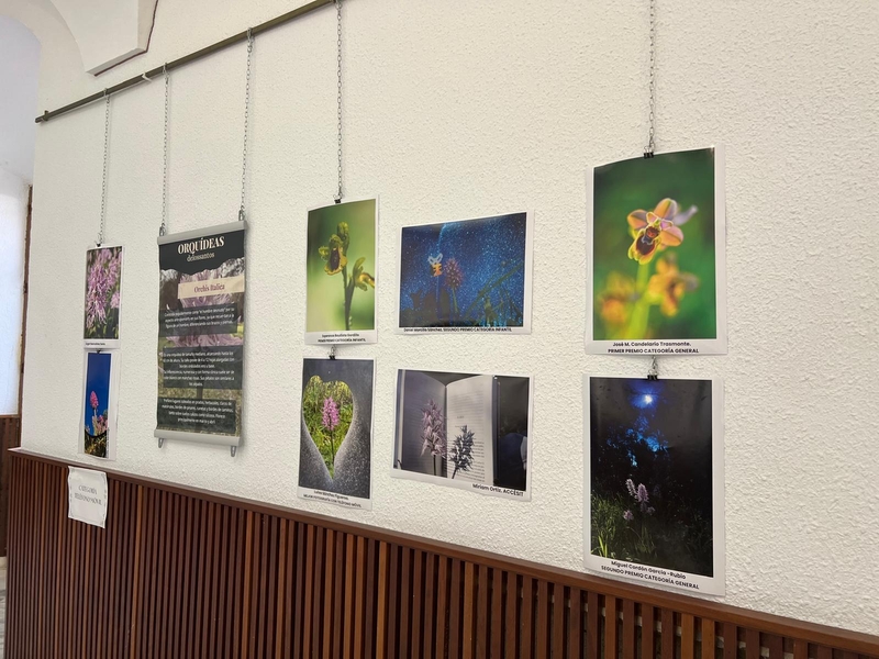 Abierta en la Casa de la Cultura de Los Santos de Maimona la exposición `Orquídeas delossantos´