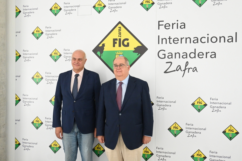 La FIG de Zafra y 573 Tradicional de San Miguel contará con unas 2.000 cabezas de ganado y más de 330 expositores