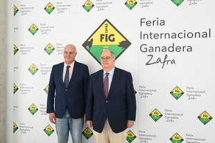 La FIG de Zafra y 573 Tradicional de San Miguel contará con unas 2.000 cabezas de ganado y más de 330 expositores
